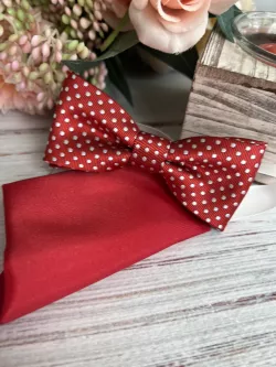 Fiú csokornyakkendő és zakó zsebkendö